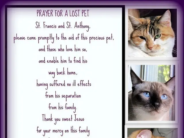 Cats assisting researchers in discovering novel dementia therapies: a possibility to consider?