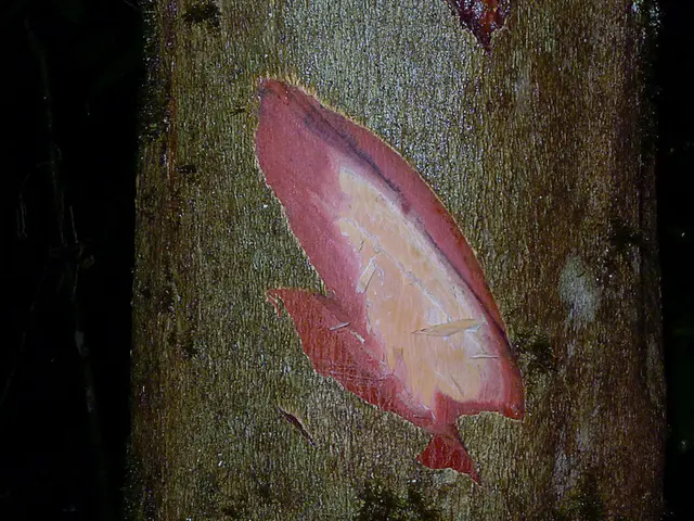 Uncovering Stem Cells Signifies Human Brain Development and Indicates Potential Treatments