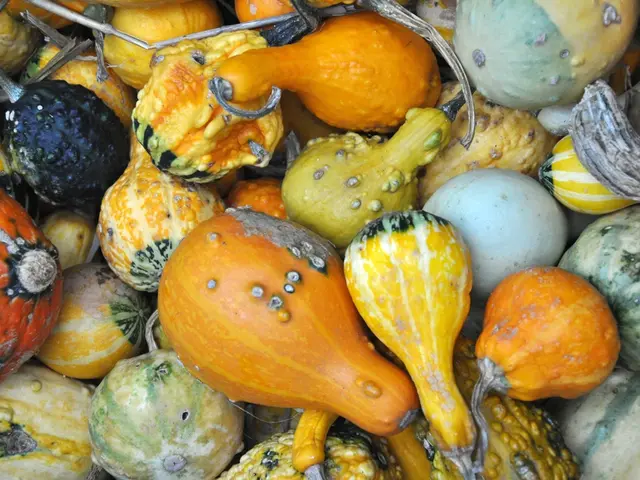 Colon cancer and dietary fiber: Advantages and further details