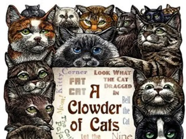 Locate a qualified expert for the authentication of export health documentation