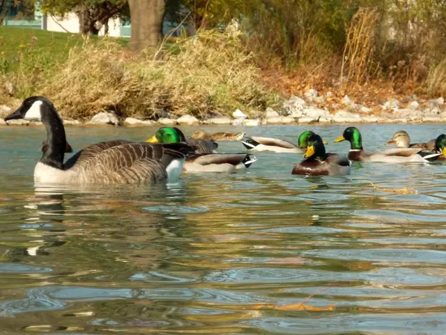 Strengthen your stability with these three crucial balance-focused exercises
