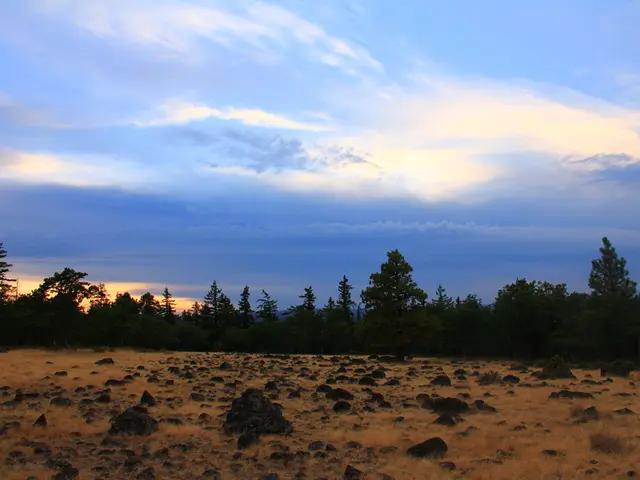 Lessons for investments from the geographic regions, known as 'blue zones,' where people live...