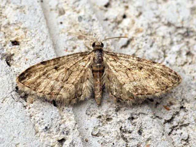 Insights into the psyche hidden within one's subconscious dreams