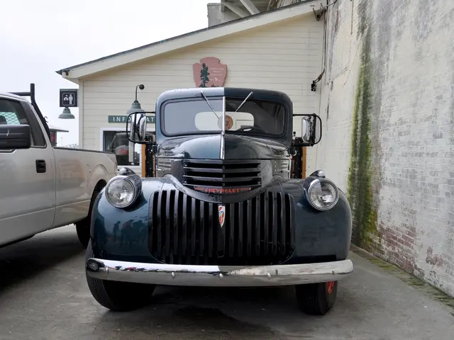 Harmless Swimming Experience - Insufficient Amounts of Harmful Blue Algae Detected