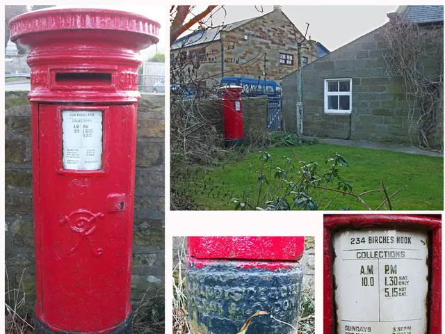 The Significance of Hydration for Preserving Cognitive Abilities in Alzheimer's Disease