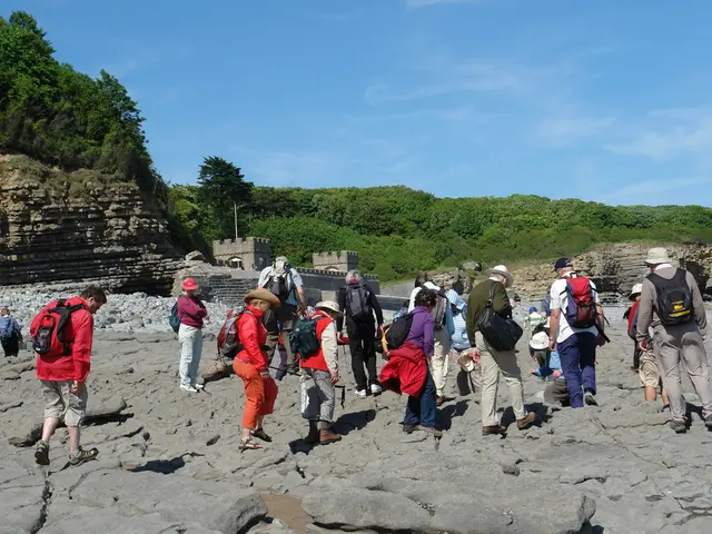 Unveiling the Optimal Timing for Maximum Benefits: a Discovery about Walking