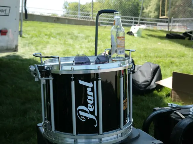 Cellular Transport Network: An Inside Look at the Endomembrane System