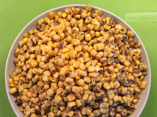 Sesame Seeds Advantages: Exploring 10 Health and Nutritional Highlights