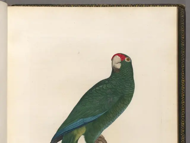 Intelligence of Ravens Surprises Experts with Unprecedented Problem-Solving Skills