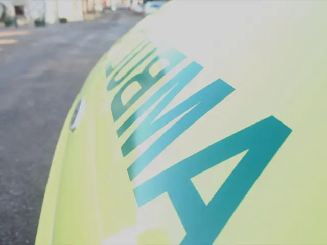 Testing of Health Effects of Gasoline Additive MMT under Section 211 (b) of the Clean Air Act