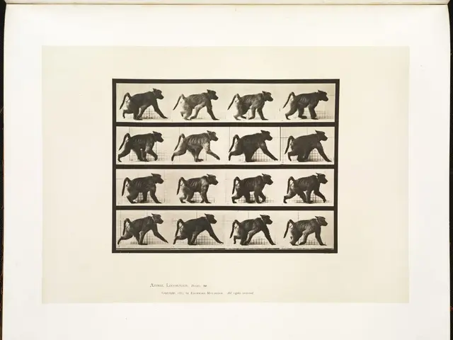 The enigma of cloned life durations: Exploring the puzzles surrounding the lifespans of clones