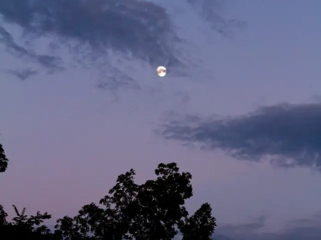 Lunar Impact on Human Beings: A Look at the Possibilities