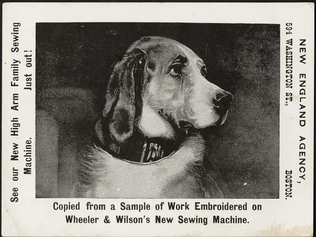 In this image we can see a paper. In the center there is a dog and we can see text.