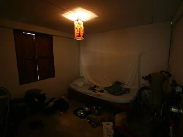 This image is clicked inside a room. There is light at the top. There is a window on the left side....