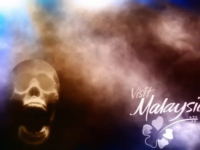 This image is an edited image. On the left side of the image there is a skull. In the middle of the...