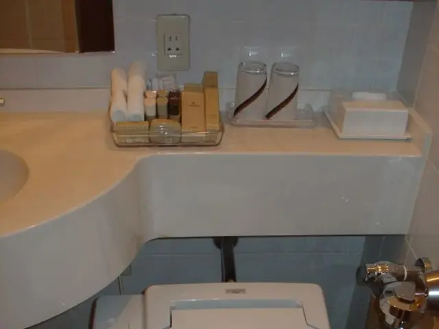 In this picture there is a toilet seat. beside that I can see the dustbin. At the top I can see the...