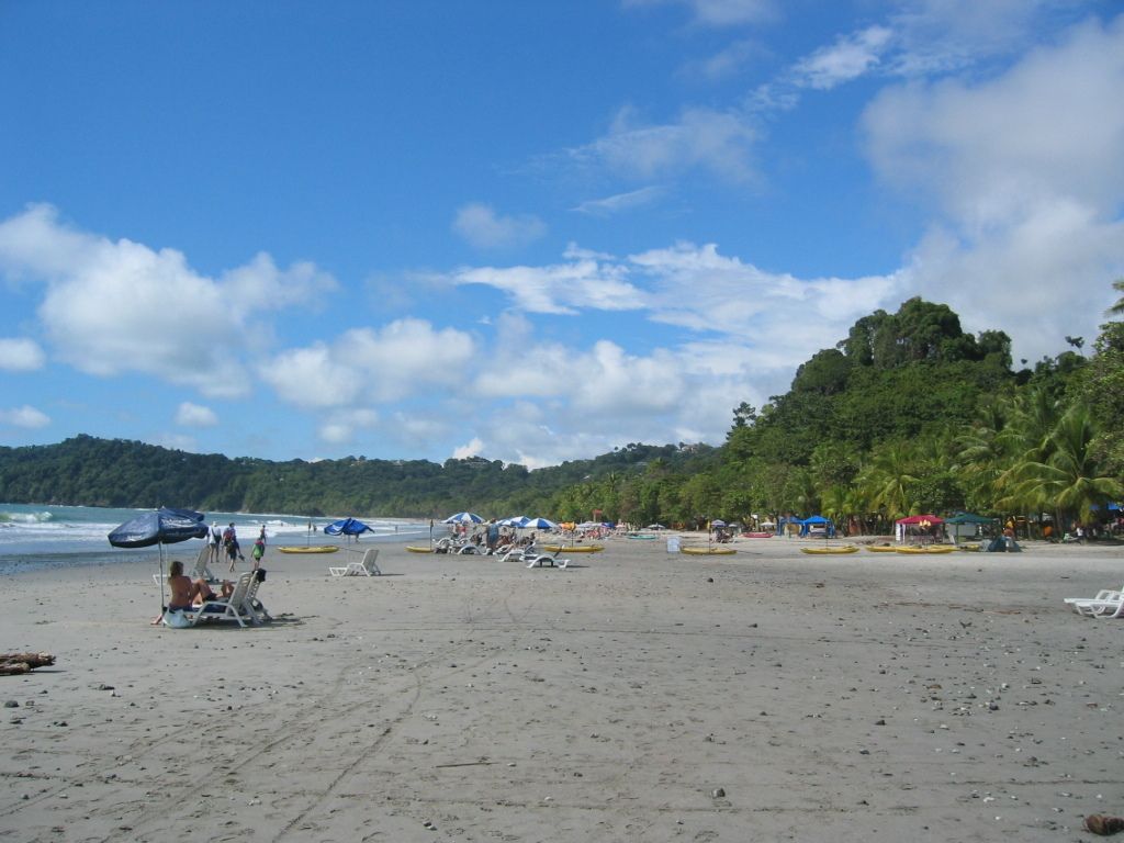 Hamm's Manual Therapy Clinic Joins Nationwide 'Anti-Pain Action Day' and Offers Insights to Those...