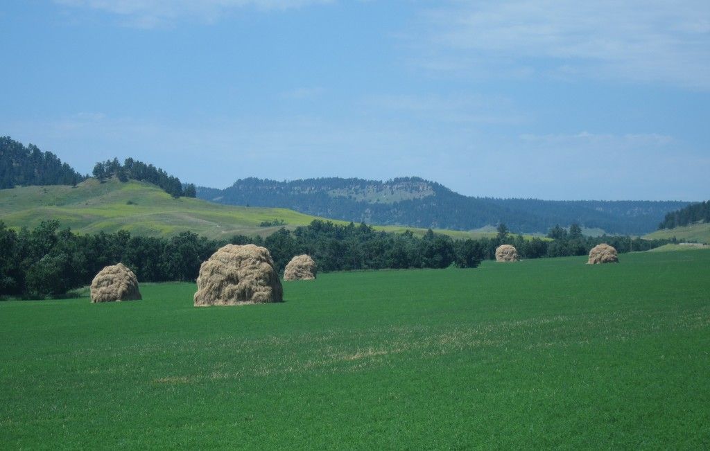 Swimmers may face health issues when attempting to cool down in pools during hot weather, as not...